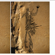 Imagen para el artículo titulado Este es el aspecto de las pinturas rupestres que muestran espíritus en una cueva secreta de Estados Unidos